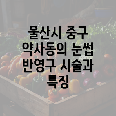 울산시 중구 약사동의 눈썹 반영구 시술과 특징