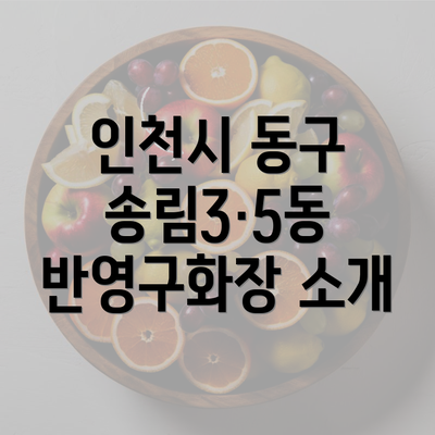 인천시 동구 송림3·5동 반영구화장 소개