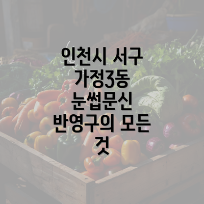 인천시 서구 가정3동 눈썹문신 반영구의 모든 것