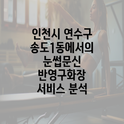 인천시 연수구 송도1동에서의 눈썹문신 반영구화장 서비스 분석