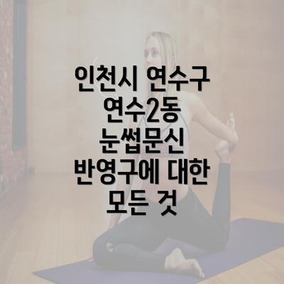 인천시 연수구 연수2동 눈썹문신 반영구에 대한 모든 것