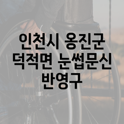 인천시 옹진군 덕적면 눈썹문신 반영구