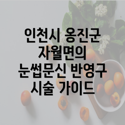 인천시 옹진군 자월면의 눈썹문신 반영구 시술 가이드