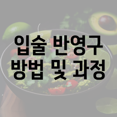 입술 반영구 방법 및 과정