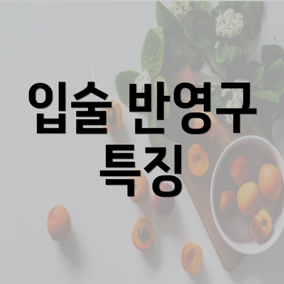 입술 반영구 특징