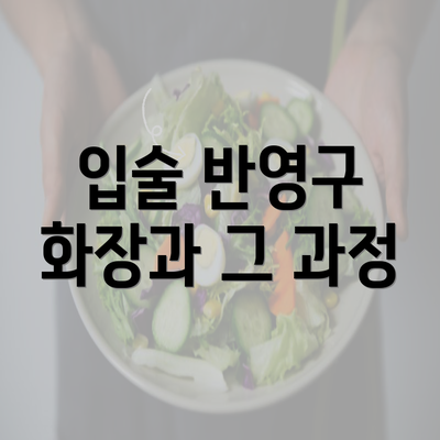 입술 반영구 화장과 그 과정