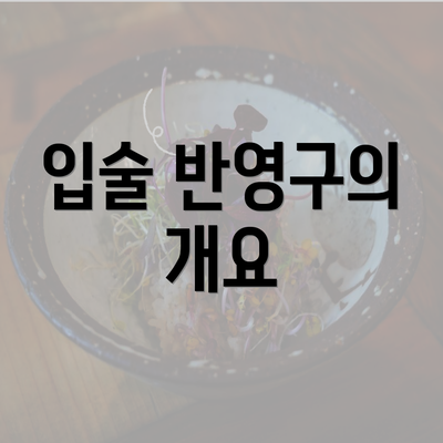 입술 반영구의 개요