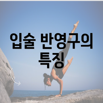 입술 반영구의 특징