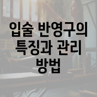 입술 반영구의 특징과 관리 방법