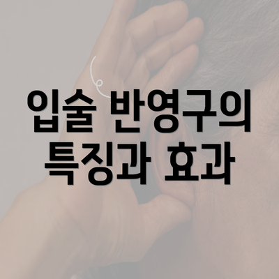 입술 반영구의 특징과 효과