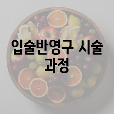 입술반영구 시술 과정