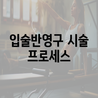 입술반영구 시술 프로세스