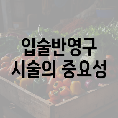 입술반영구 시술의 중요성