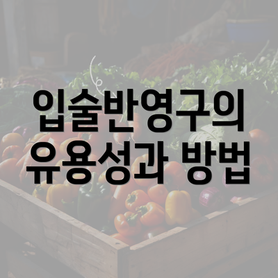 입술반영구의 유용성과 방법