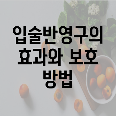 입술반영구의 효과와 보호 방법