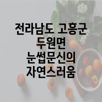 전라남도 고흥군 두원면 눈썹문신의 자연스러움