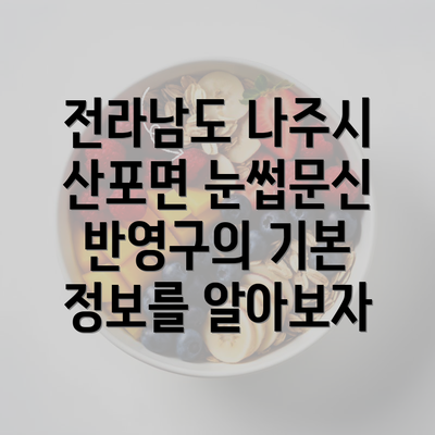 전라남도 나주시 산포면 눈썹문신 반영구의 기본 정보를 알아보자