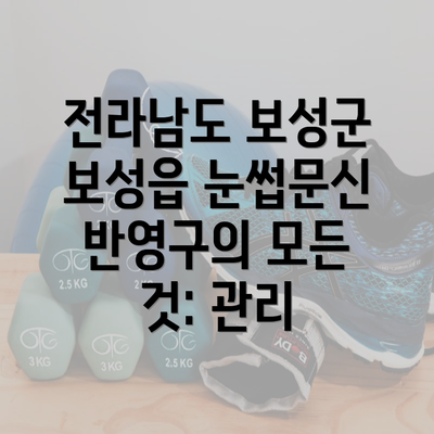 전라남도 보성군 보성읍 눈썹문신 반영구의 모든 것: 관리