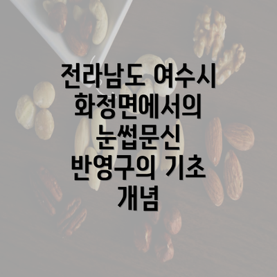 전라남도 여수시 화정면에서의 눈썹문신 반영구의 기초 개념