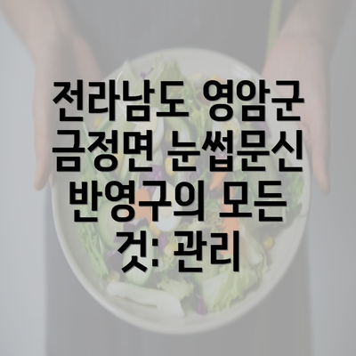 전라남도 영암군 금정면 눈썹문신 반영구의 모든 것: 관리