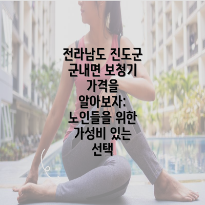 전라남도 진도군 군내면 보청기 가격을 알아보자: 노인들을 위한 가성비 있는 선택