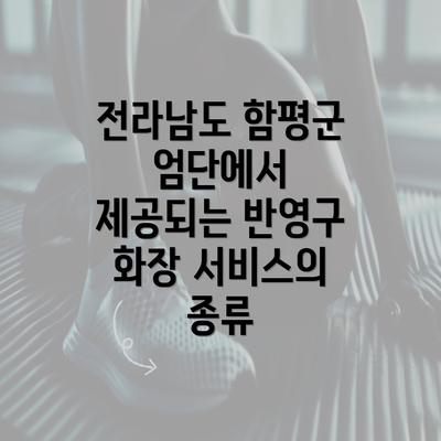 전라남도 함평군 엄단에서 제공되는 반영구 화장 서비스의 종류