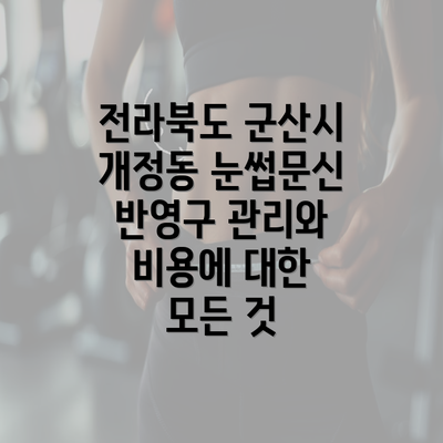 전라북도 군산시 개정동 눈썹문신 반영구 관리와 비용에 대한 모든 것