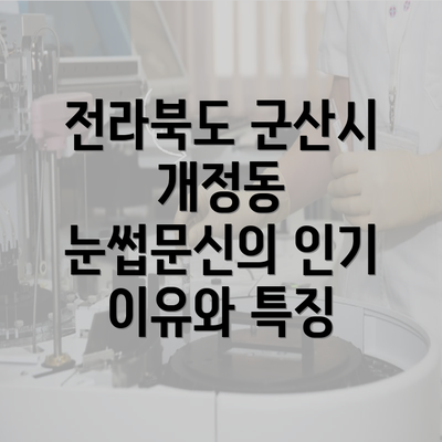 전라북도 군산시 개정동 눈썹문신의 인기 이유와 특징