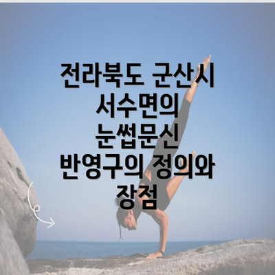 전라북도 군산시 서수면의 눈썹문신 반영구의 정의와 장점