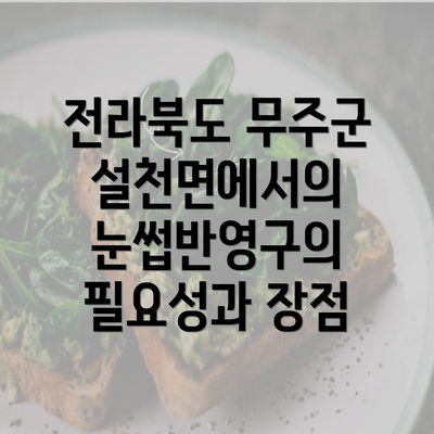 전라북도 무주군 설천면에서의 눈썹반영구의 필요성과 장점