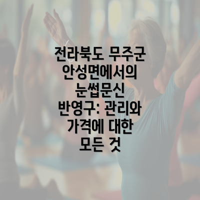 전라북도 무주군 안성면에서의 눈썹문신 반영구: 관리와 가격에 대한 모든 것