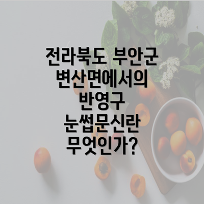 전라북도 부안군 변산면에서의 반영구 눈썹문신란 무엇인가?