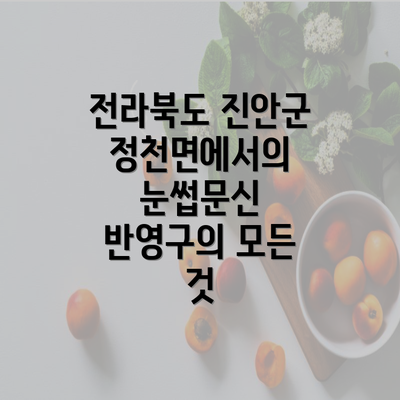 전라북도 진안군 정천면에서의 눈썹문신 반영구의 모든 것