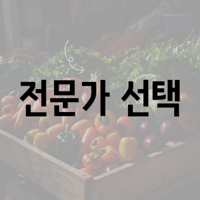 전문가 선택