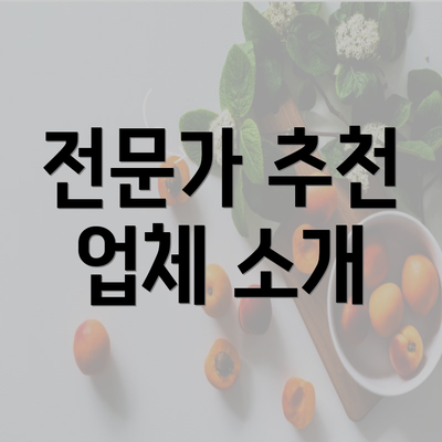 전문가 추천 업체 소개