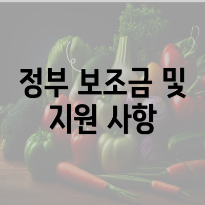 정부 보조금 및 지원 사항