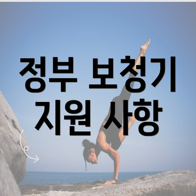 정부 보청기 지원 사항