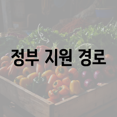 정부 지원 경로