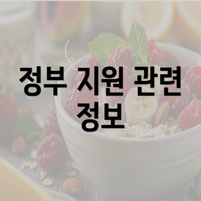 정부 지원 관련 정보