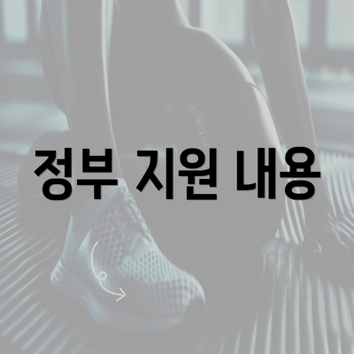 정부 지원 내용