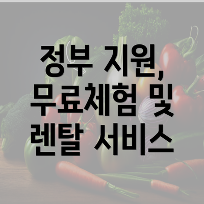 정부 지원, 무료체험 및 렌탈 서비스