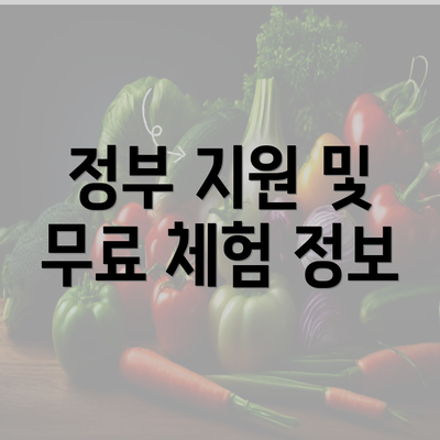 정부 지원 및 무료 체험 정보