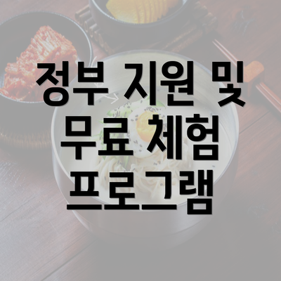 정부 지원 및 무료 체험 프로그램