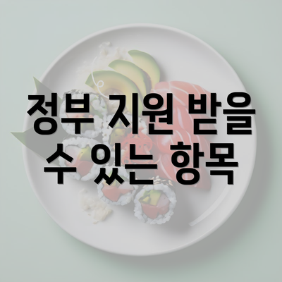 정부 지원 받을 수 있는 항목