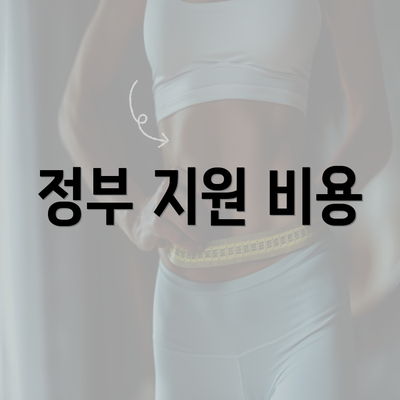 정부 지원 비용