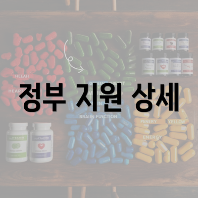 정부 지원 상세