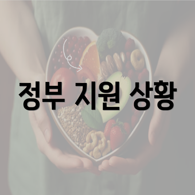 정부 지원 상황