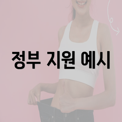 정부 지원 예시