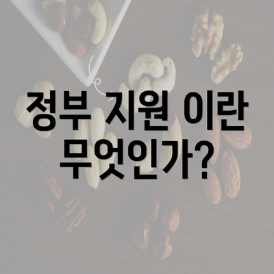 정부 지원 이란 무엇인가?