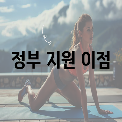 정부 지원 이점